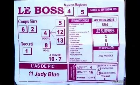 LE BOSS DU TURF.
